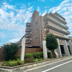 ルイシャトレ園田ミオヴィータ